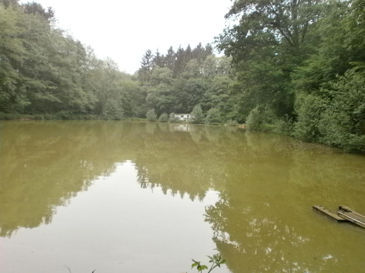 Gite Le Sous-Bois Серфонтен Экстерьер фото